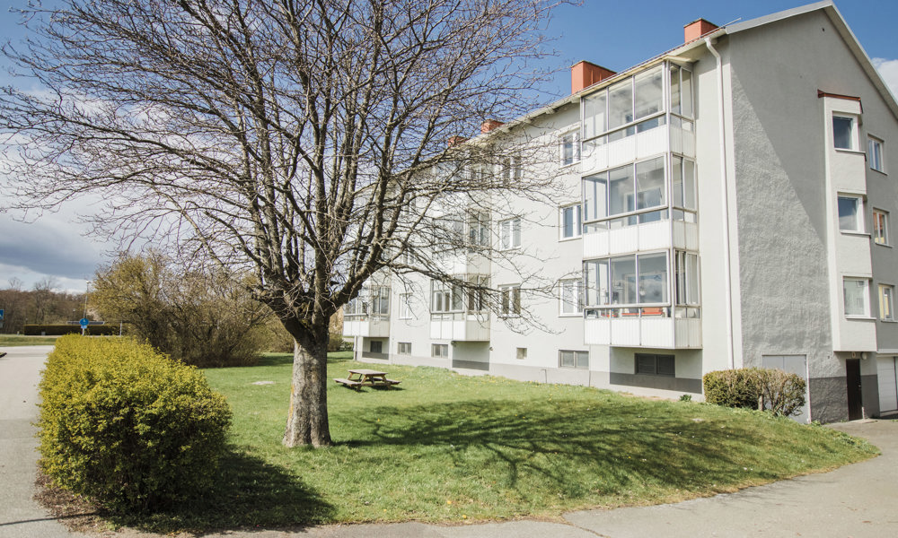 Agatan 26