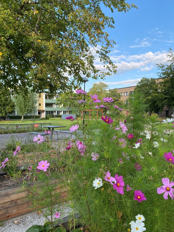3 rum och kök, Bellevuegården, 13 986 kr/mån, bild 2