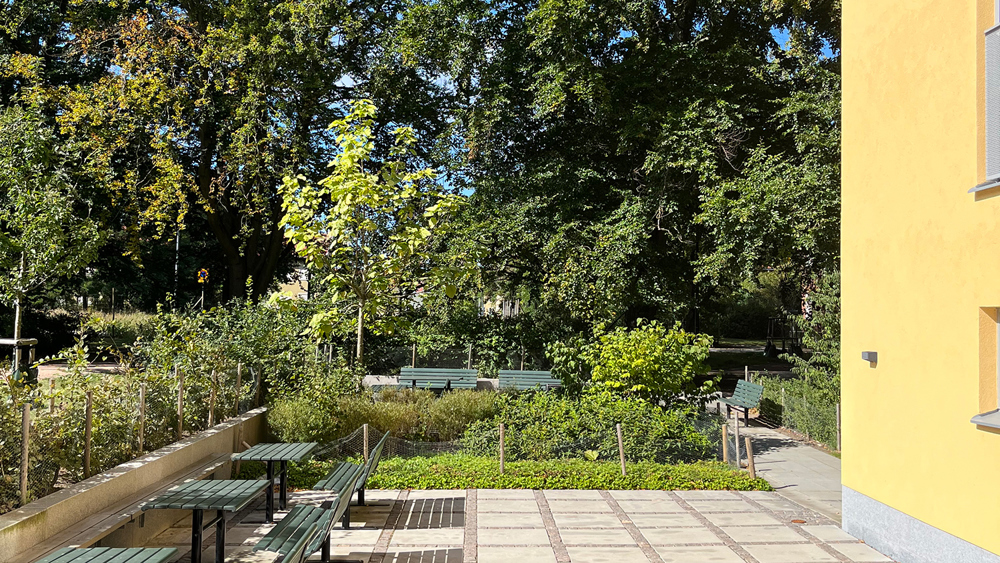Property image 15