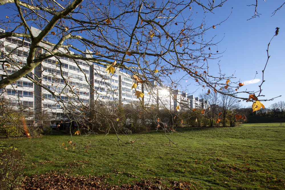 Hyreslägenhet på Thomsons Väg 52 i Malmö
